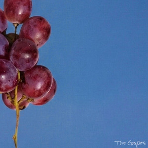 Doesn't Feel the Same by The Grapes