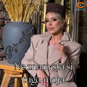 Ne znam sta si tugo - Live by Sladja Allegro