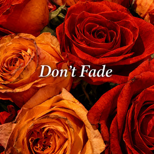 Don't Fade by PRS̈M