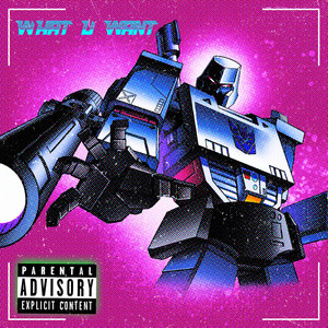 WHAT U WANT (Slowed Down)