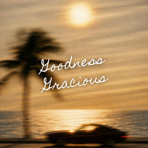 Goodness Gracious by Leisure Dept.