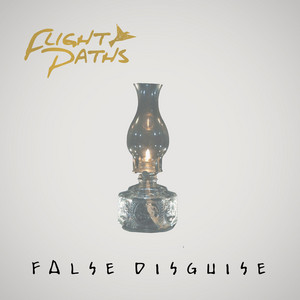 False Disguise by Flight Paths