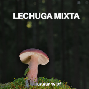 LECHUGA MIXTA by Tururun 19 Df