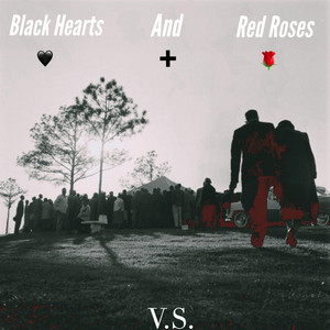 Swan Song (Farewell My Love) by V.S.
