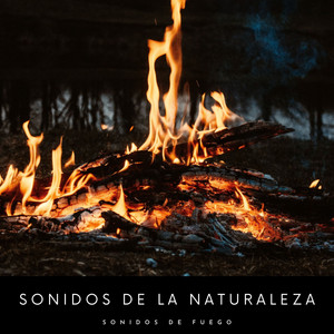 Sonidos De La Naturaleza: Sonidos De Fuego album