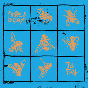 Portada de The Fly