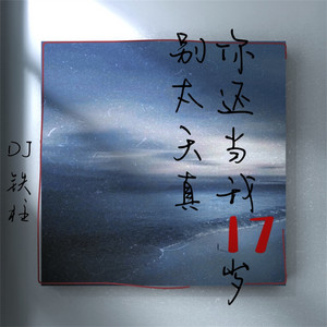 DJ Tie Zhu - 思念化成水Vol.03 (你还当我17岁呢)