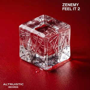 Feel It 2 - Radio Edit by Zenemy