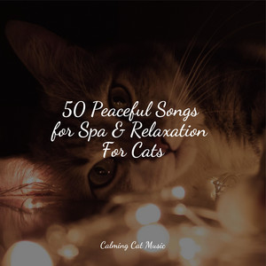 50 Peaceful Songs for Spa & Relaxation For Cats album