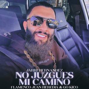 Flamenco Juan Heredia, Jarri Hernandez & Go Kico - No Juzgues Mi Camino