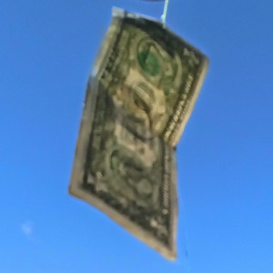 dollar on a string by raw levy