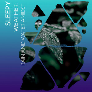 zZz Sleepy Weather: Rain and Water Amidst the Moors zZz album