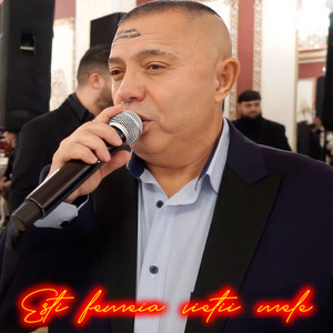 Nicolae Guță - Esti femeia vietii mele