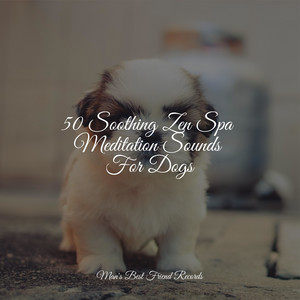 50 Soothing Zen Spa Meditation Sounds For Dogs album