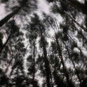 lak1povsky & XEROVICHEL - the dreamy wind