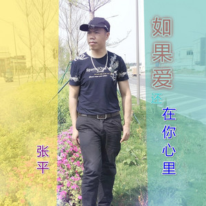 如果爱还在你心里 - 伴奏 by 张平