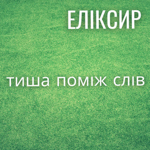 Тиша Поміж Слів