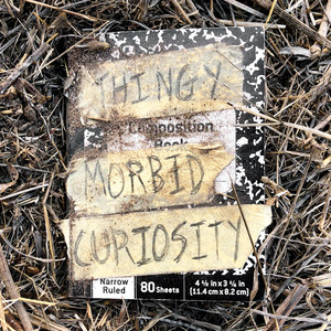 Morbid Curiosity cover
