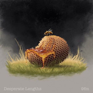 Desperate Lengths by 9fm