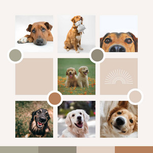 Ambiance for Cute Puppies album