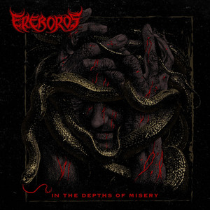 In the Depths of Misery by Ereboros