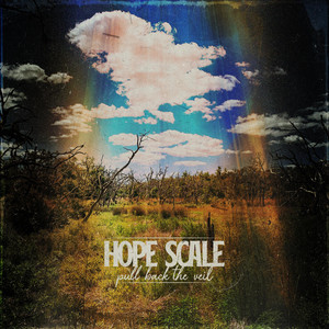 Pull Back the Veil by Hope Scale