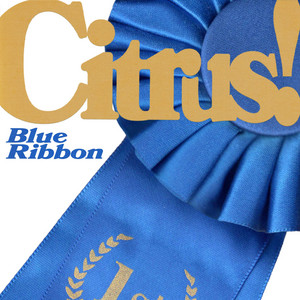 Boy Toy by Citrus!