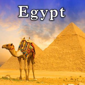Sound Ideas - Camel Rent Stand Near Pyramids in Egypt