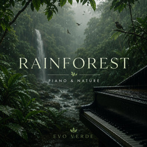 Rainforest by Evo Verde