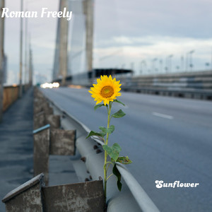 Sunflower by Roman Freely