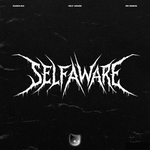 Self Aware - Slowed by Diabolika