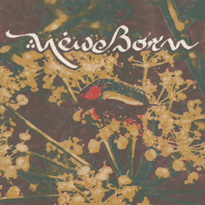 Holy of Holies by New Born