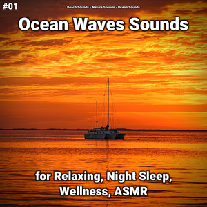 #01 Ocean Waves Sounds for Relaxing, Night Sleep, Wellness, ASMR album