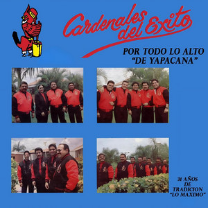 Cardenales del Exito - Mi Ranchito