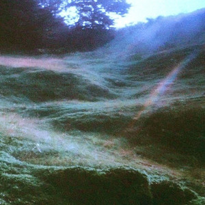 misty by little light