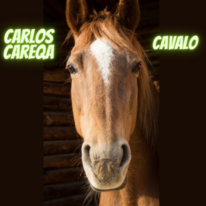CAVALO (DOIS CAVALOS) [Acústica]