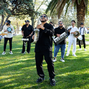 Power Group - Kashmir Sax Tallava