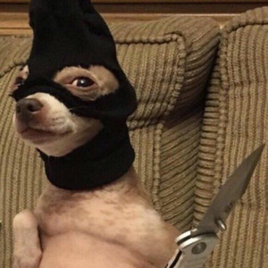 Deez gram - Crazy fun days