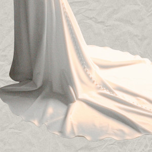 Undivided Bride by Sadie Michael