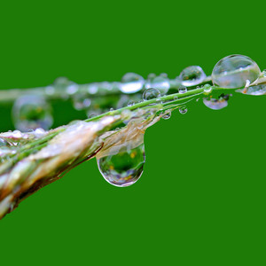 Brain Spa Relaxation Music: Rain Sounds for Peace and Relaxation album