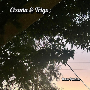 Cizaña & Trigo by Delso Paulino