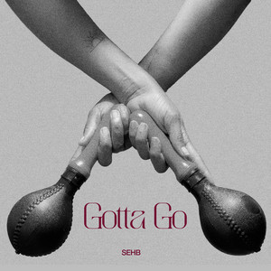 SEHB - Gotta Go