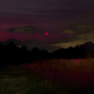 False Allegations by Abraxaz