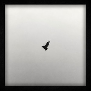 Tu Più Io by Jamel