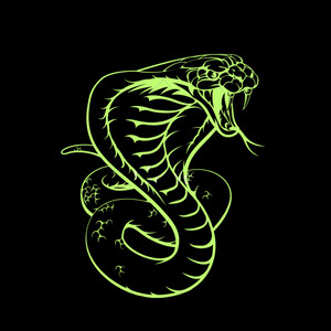 SNAKE MUSIC (FUNK REMIX) - Single by Aesnovia | Spotify
