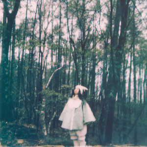 In the silent woods by 高井息吹