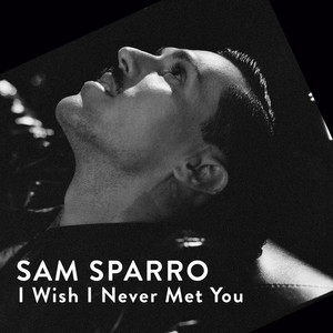 I Wish I Never Met You by Sam Sparro