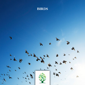 Mother Nature Sound FX - Birds (Part 3)
