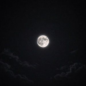 MOON by NIÑO ROTO