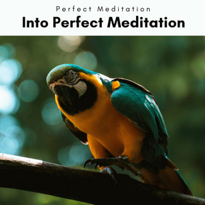 1 Into Perfect Meditation album